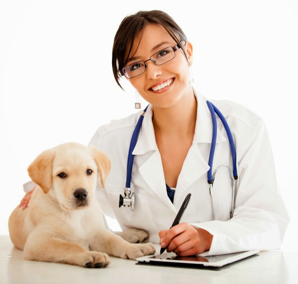 Sistema de turnos online para clinicas veterinarias - Online Appointment Scheduling system for Veterinary clinics